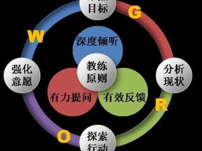 領(lǐng)導者的教練技巧